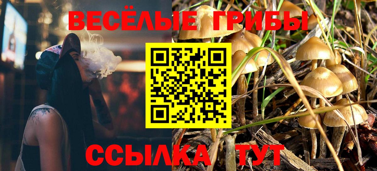 Галлюциногенные грибы мухоморы Арзамас