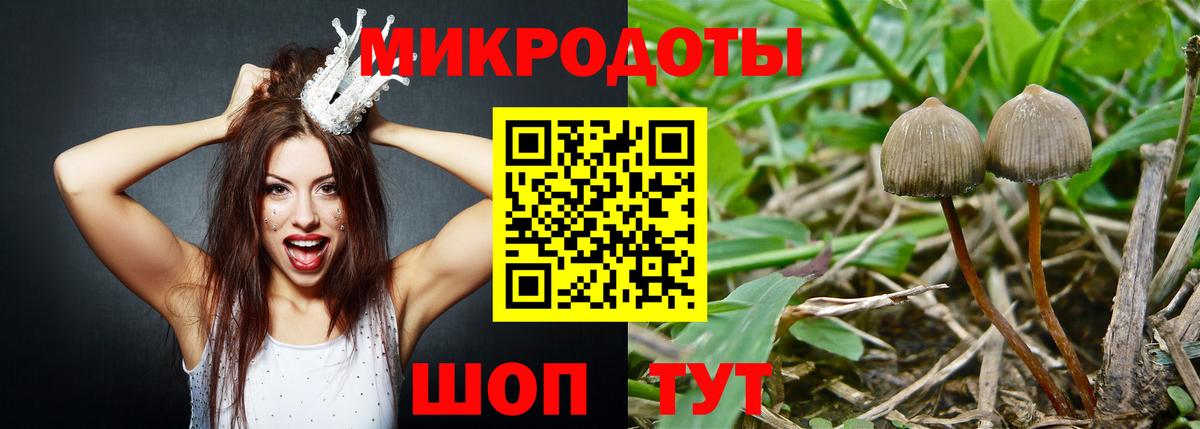 Арзамас  Галлюциногенные грибы мицелий  Псилоцибиновые грибы Psilocybine cubensis  Вход с VPN 